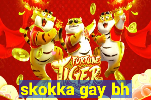 skokka gay bh